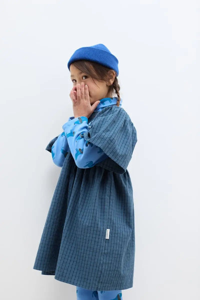 Blue Dog Butterfly Weekend  House Kids Dress