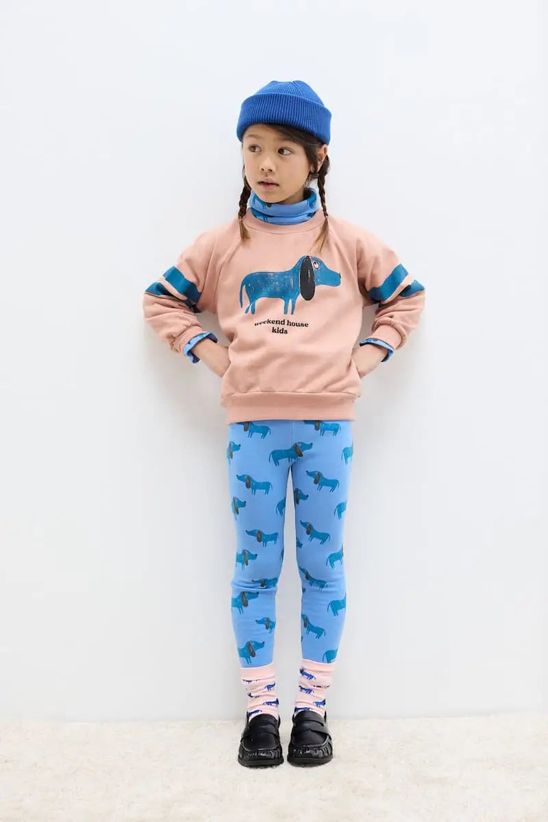Dog Pack Weekend House Kids Socks