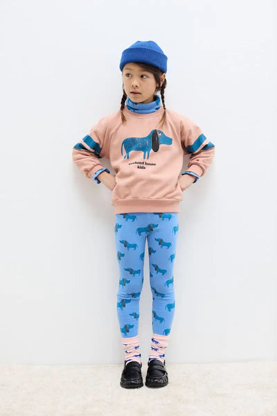 Dog Pack Weekend House Kids Socks