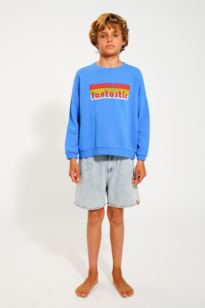 Sudadera | azul con estampado  "fantastic" Piupiuchick