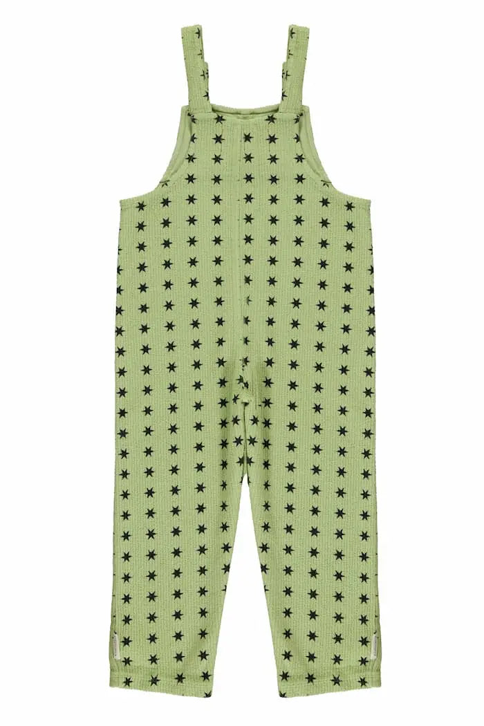 Peto verde con estampado de estrellas negras de Piupiuchick, vista trasera.