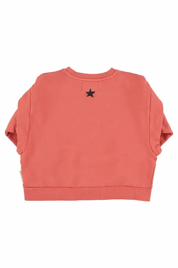 Vista trasera de la sudadera rosa con texto "Groupie" en el pecho, Piupiuchick.