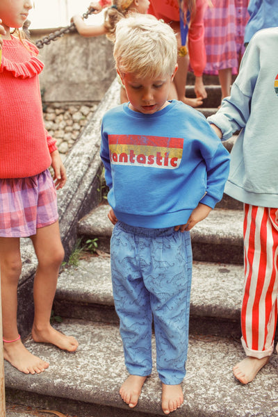 Sudadera | azul con estampado  "fantastic" Piupiuchick
