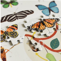 Poppik Puzzle 500 piezas "Insectos"