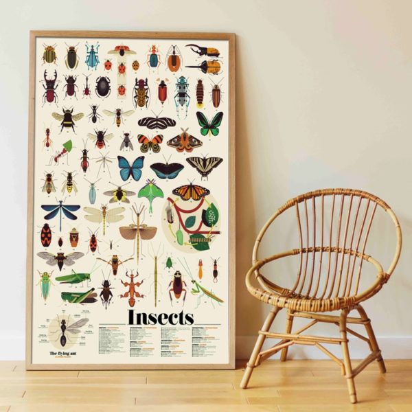 Poppik Gran Póster de Pegatinas "Insectos"