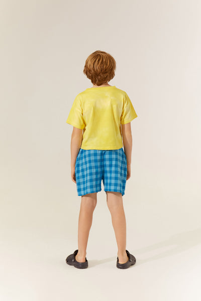 The Campamento blue checked shorts