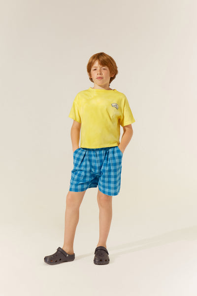 The Campamento blue checked shorts