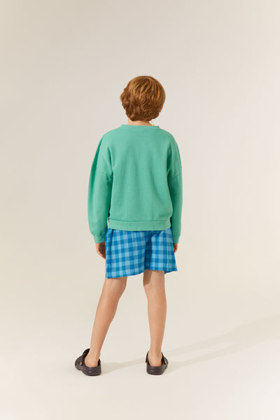 The Campamento blue checked shorts
