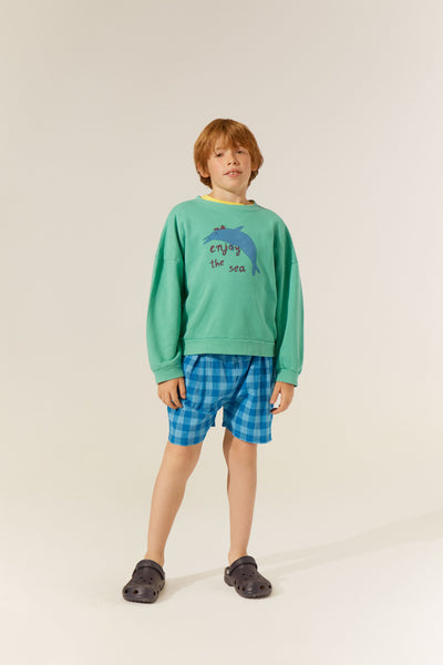 The Campamento blue checked shorts