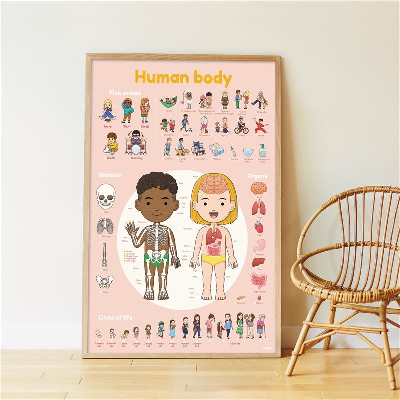 Poppik EDUCATIONAL POSTER + 49 STICKERS
THE HUMAN BODY (3-7 YEARS)
